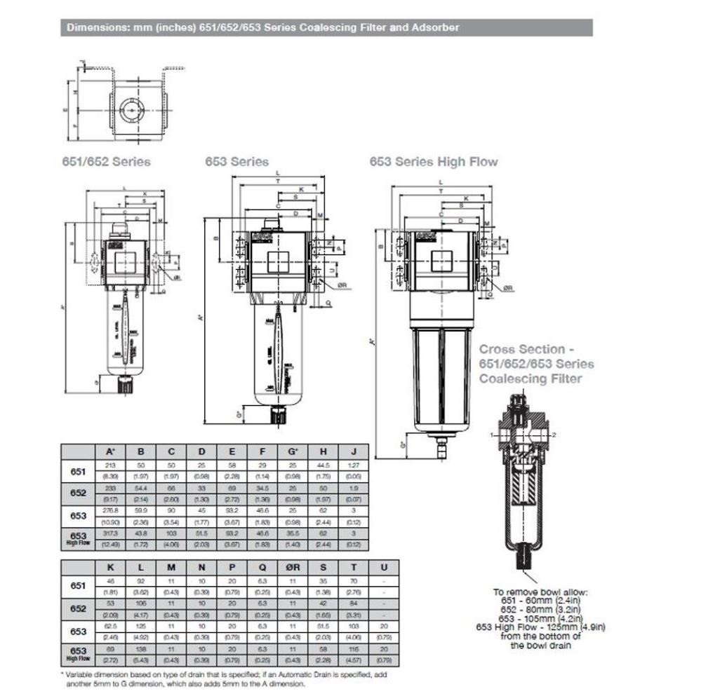 8651AFDP2HA000N NUMATICS/AVENTICS COALESCING FILTER<BR>651 SERIES 1/4" NPT, 0.3MIC, PB W/BG, SEMI AD, DP